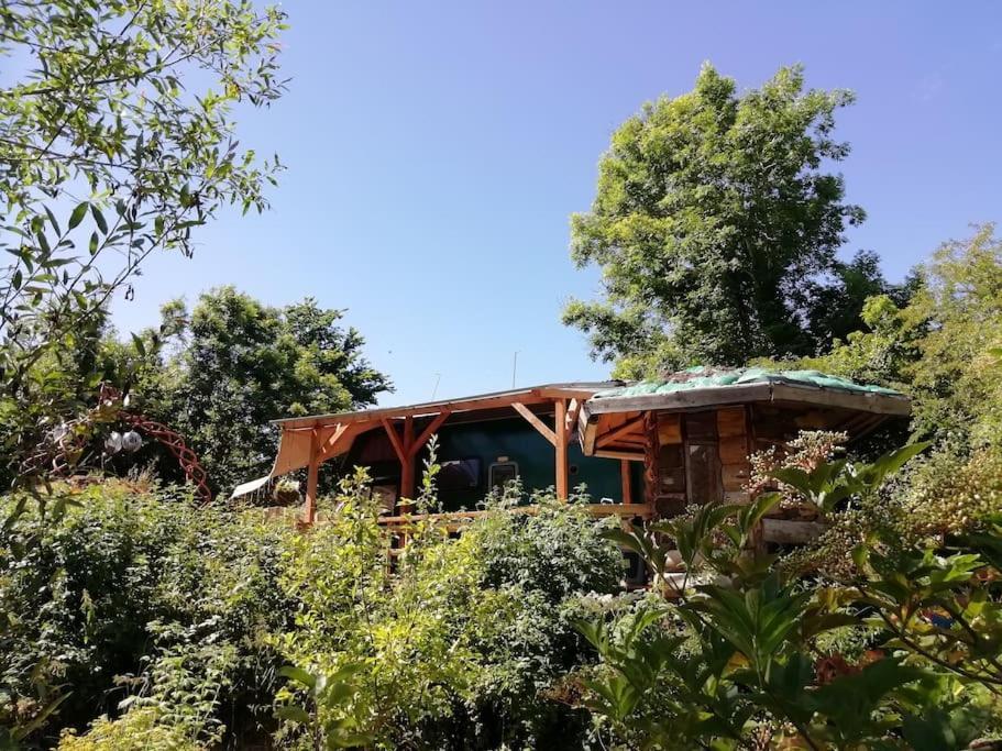 Truck & Pod Creative Nature Retreat. Bantry Exterior foto